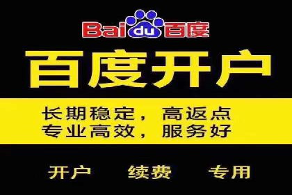 案例解析：竞价代运营如何提高广告投放效果